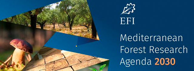 Agenda de investigación forestal mediterranea 2030