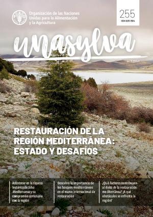 Unasylva 155