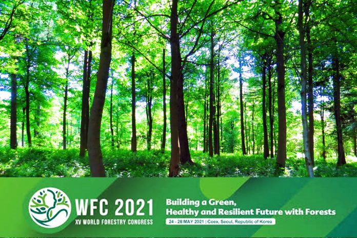 WFC 2021 forestry korea 696x464