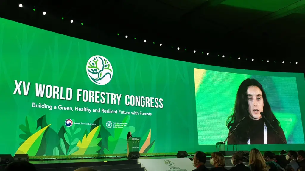 XV congreso forestal