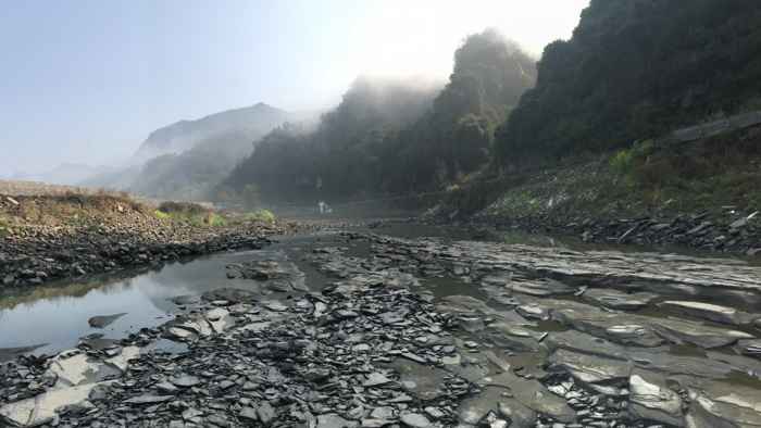 biota Qingjiang rio Danshui