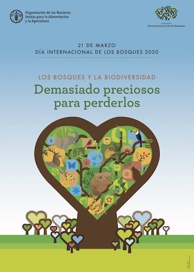 cartel fao dia internacional de los bosques