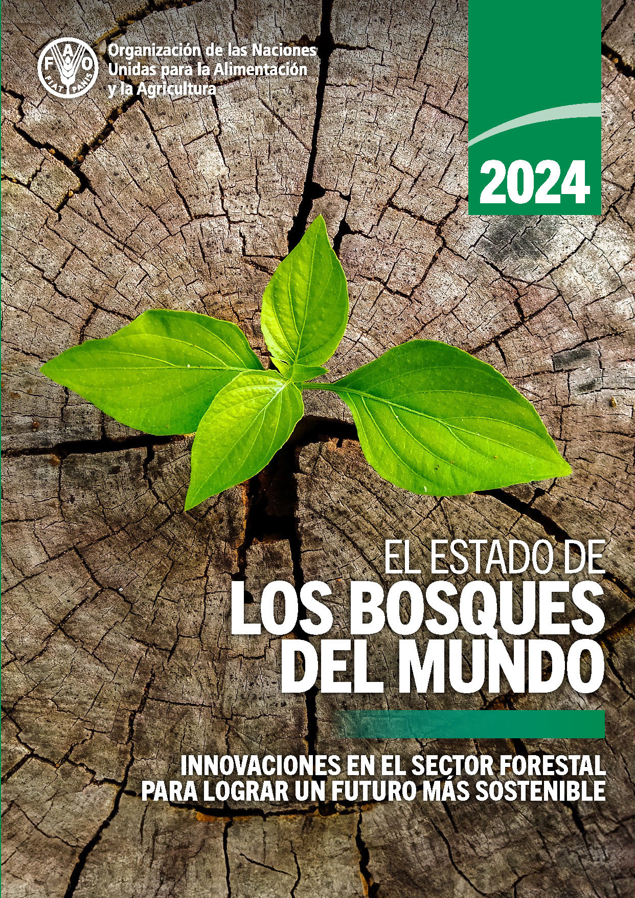 estado bosques 2024
