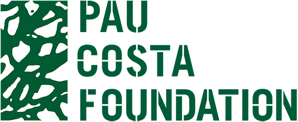 logo pau costa