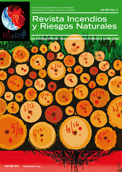 revista nº 13