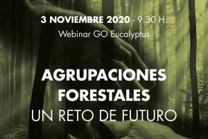 webinar go eucalyptus agrupaciones forestales 3 noviembre 2020 300x200
